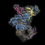 First symposium - Integrative Structural Biology